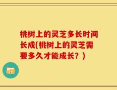 桃树上的灵芝多长时间长成(桃树上的灵芝需要多久才能成长？)