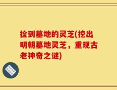 捡到墓地的灵芝(挖出明朝墓地灵芝，重现古老神奇之谜)