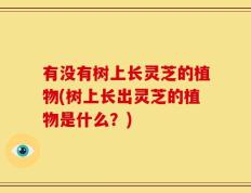 有没有树上长灵芝的植物(树上长出灵芝的植物是什么？)