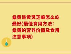 桑黄是黄灵芝嘛怎么吃最好(最佳食用方法：桑黄的营养价值及食用注意事项)