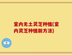 室内无土灵芝种植(室内灵芝种植新方法)