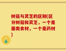 树菇与灵芝的区别(区分树菇和灵芝，一个是菌类食材，一个是药材)