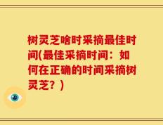 树灵芝啥时采摘最佳时间(最佳采摘时间：如何在正确的时间采摘树灵芝？)