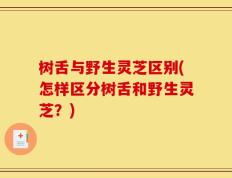树舌与野生灵芝区别(怎样区分树舌和野生灵芝？)