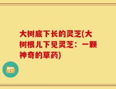 大树底下长的灵芝(大树根儿下见灵芝：一颗神奇的草药)