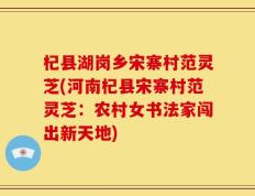杞县湖岗乡宋寨村范灵芝(河南杞县宋寨村范灵芝：农村女书法家闯出新天地)