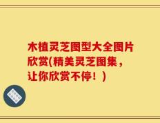 木植灵芝图型大全图片欣赏(精美灵芝图集，让你欣赏不停！)