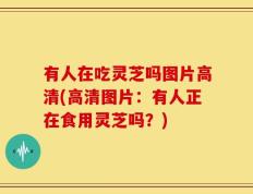 有人在吃灵芝吗图片高清(高清图片：有人正在食用灵芝吗？)