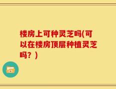 楼房上可种灵芝吗(可以在楼房顶层种植灵芝吗？)