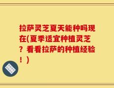 拉萨灵芝夏天能种吗现在(夏季适宜种植灵芝？看看拉萨的种植经验！)