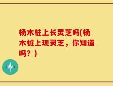 杨木桩上长灵芝吗(杨木桩上现灵芝，你知道吗？)