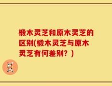 椴木灵芝和原木灵芝的区别(椴木灵芝与原木灵芝有何差别？)