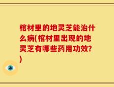 棺材里的地灵芝能治什么病(棺材里出现的地灵芝有哪些药用功效？)