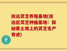 抚远灵芝养殖基地(抚远区灵芝种植基地：探秘黑土地上的灵芝生产奇迹)