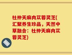 杜仲天麻肉苁蓉灵芝(汇聚养生珍品，天然中草融合：杜仲天麻肉苁蓉灵芝)
