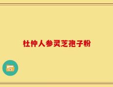 杜仲人参灵芝孢子粉