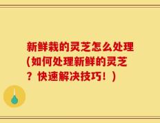新鲜栽的灵芝怎么处理(如何处理新鲜的灵芝？快速解决技巧！)
