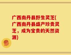 广西南丹县野生灵芝(广西南丹县盛产珍贵灵芝，成为宝贵的天然资源)