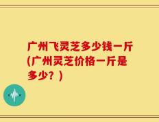 广州飞灵芝多少钱一斤(广州灵芝价格一斤是多少？)