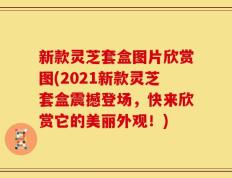 新款灵芝套盒图片欣赏图(2021新款灵芝套盒震撼登场，快来欣赏它的美丽外观！)