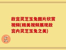 故宫灵芝玉兔图片欣赏视频(精美视频展现故宫内灵芝玉兔之美)