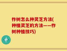 柞树怎么种灵芝方法(种植灵芝的方法——柞树种植技巧)