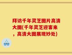 拜访千年灵芝图片高清大图(千年灵芝迎客来，高清大图展现妙处)