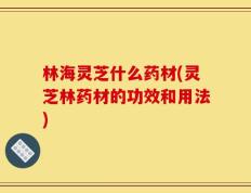 林海灵芝什么药材(灵芝林药材的功效和用法)