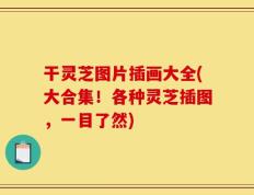 干灵芝图片插画大全(大合集！各种灵芝插图，一目了然)