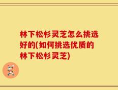 林下松杉灵芝怎么挑选好的(如何挑选优质的林下松杉灵芝)