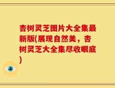 杏树灵芝图片大全集最新版(展现自然美，杏树灵芝大全集尽收眼底)