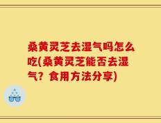桑黄灵芝去湿气吗怎么吃(桑黄灵芝能否去湿气？食用方法分享)