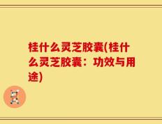 桂什么灵芝胶囊(桂什么灵芝胶囊：功效与用途)