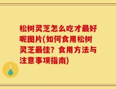 松树灵芝怎么吃才最好呢图片(如何食用松树灵芝最佳？食用方法与注意事项指南)