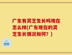 广东有灵芝生长吗现在怎么样(广东现在的灵芝生长情况如何？)