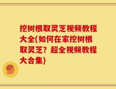 挖树根取灵芝视频教程大全(如何在家挖树根取灵芝？超全视频教程大合集)