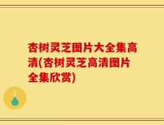 杏树灵芝图片大全集高清(杏树灵芝高清图片全集欣赏)