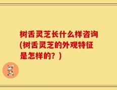 树舌灵芝长什么样咨询(树舌灵芝的外观特征是怎样的？)