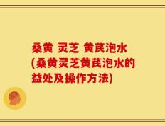 桑黄 灵芝 黄芪泡水(桑黄灵芝黄芪泡水的益处及操作方法)