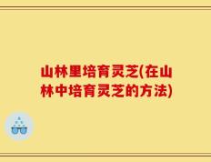 山林里培育灵芝(在山林中培育灵芝的方法)