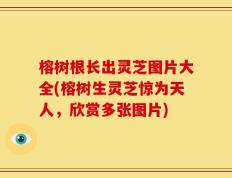 榕树根长出灵芝图片大全(榕树生灵芝惊为天人，欣赏多张图片)