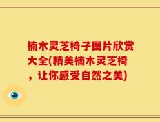 楠木灵芝椅子图片欣赏大全(精美楠木灵芝椅，让你感受自然之美)