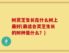 树灵芝生长在什么树上最好(最适合灵芝生长的树种是什么？)