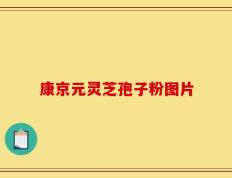 康京元灵芝孢子粉图片