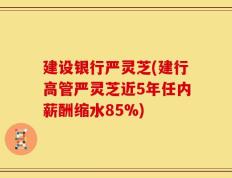 建设银行严灵芝(建行高管严灵芝近5年任内薪酬缩水85%)
