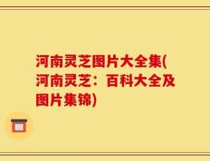 河南灵芝图片大全集(河南灵芝：百科大全及图片集锦)