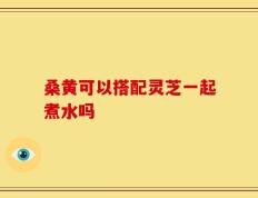 桑黄可以搭配灵芝一起煮水吗