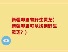 新疆哪里有野生灵芝(新疆哪里可以找到野生灵芝？)