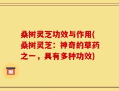 桑树灵芝功效与作用(桑树灵芝：神奇的草药之一，具有多种功效)