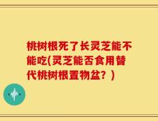 桃树根死了长灵芝能不能吃(灵芝能否食用替代桃树根置物盆？)